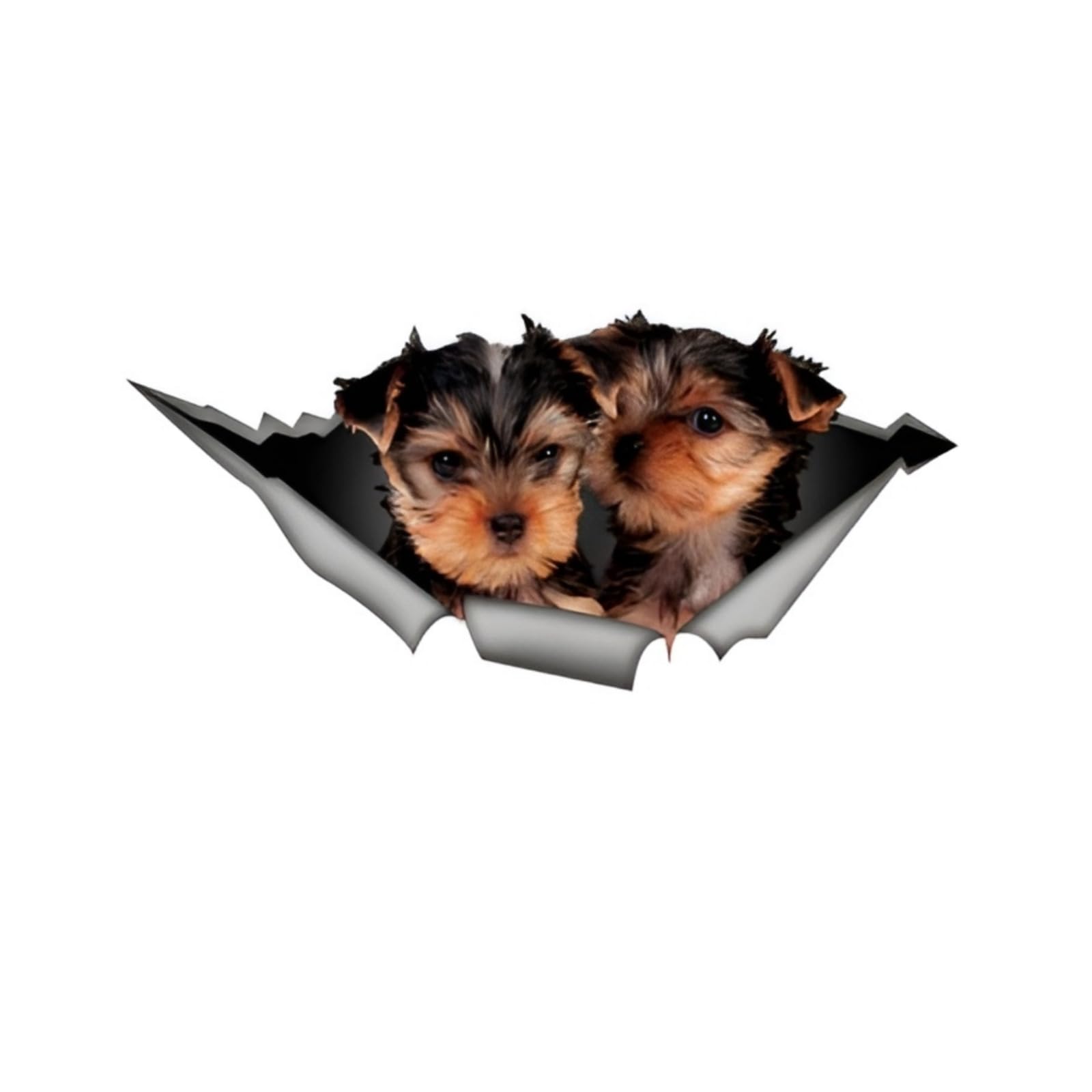 Französische Bulldogge Aufkleber, 3D Zerrissener Effekt, Was