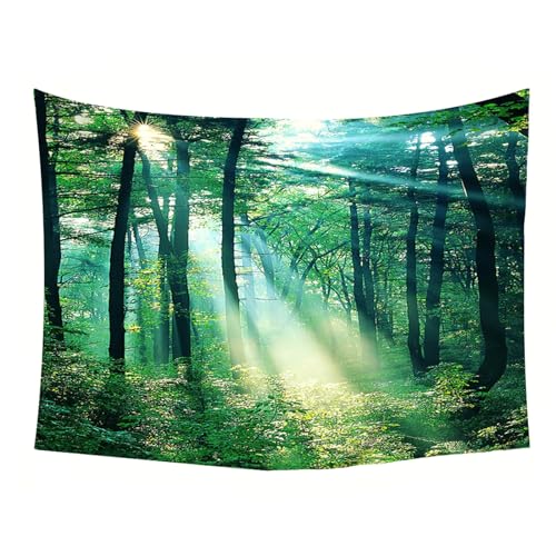 Grand drapé mural vert forêt 240x220 pour masquer un mur vide