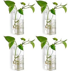 Macetas Colgantes Facil Nuptio 4 Piezas de Vidrio de Cristal Colgante de Pared Florero Maceta Terrario Contenedor Maceta