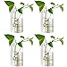 Produktbild NUPTIO Stück von 4 Kristallglas Wandbehang Blumenvase Pflanzgefäß Terrarium Container Blumentopf