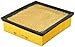 Fram TGA8243 Tough Guard Air Filter