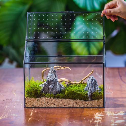 NCYP 26x15x21 cm, Hausform Glas-Terrarium mit Acryldeckel, Handgefertigtes Große Geometrische Terrarium Box für Schnecken, Sukkulenten, Pflanzen, DIY Geschenk (nur Terrarium)