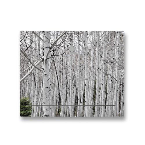 Image of MightySkins Carbon Fiber Skin Compatible with Alienware X14 R2 (2023) Full Wrap Kit - Birch Forest | Protective, Durable Textured Carbon Fiber Finish | Easy to Apply & Change Styles | Made in The USA