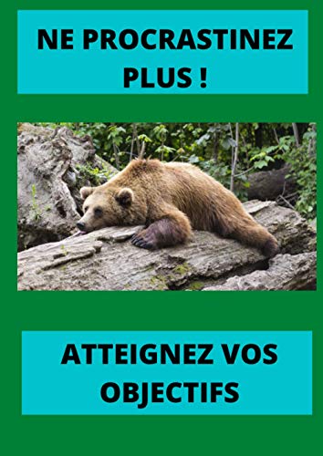 livre NE PROCRASTINEZ PLUS: Lutter contre la procrastination | méthode de travail | développement personnel et productivité