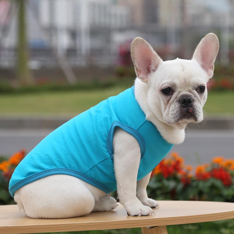 Summer Pet Clothing, Dog Clothes Blank T-Shirts Ribbed Tanks Top Thread Vests for Large Medium Small Dogs (Lake blue, XS)