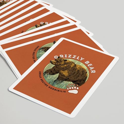 Lantern Press Grizzly Bear naipes póker 52 cartas miniatura 5