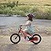 Electric Dirt Bike for Kids, 250W Electric Motorcycle, Electric Balance Bike for Ages 6-12, Up to 15.53MPH & 3 Speed Settings, 24V Detachable Battery, 16IN Off-Road Tires, Red