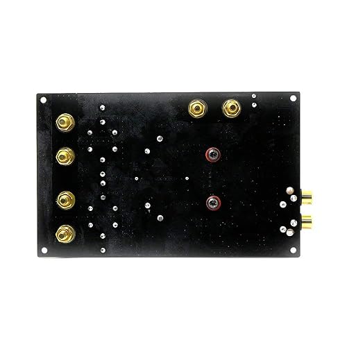 Miniatura 2 de tpa3255300W + 300W DC50V 3900uF100V2Canal Digital Audio Power Amplifier Board