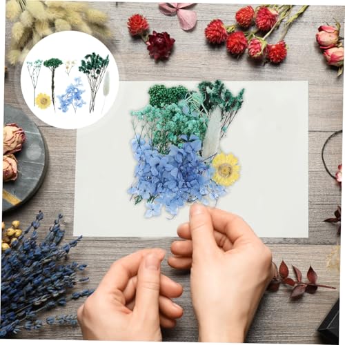 Flores Secas Prensadas para Manualidades IWOWHERO miniatura 4