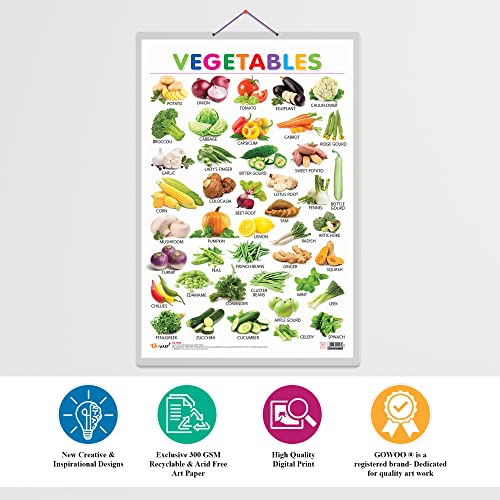 Image of GO WOO Combo of 2 Alphabet and Vegetables Educational Posters for Preschool Kids Classroom Study | Learning- Charts for Kids Learning (20 inchX30 inch Inches)