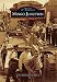 Mingo Junction (Images of America Series)