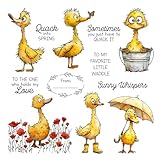FUGUT Cute Cartoon Little Ducks Cutting Dies & Clear Stamp Set - Metal Craft Dies for DIY Scrapbooking, Card Making