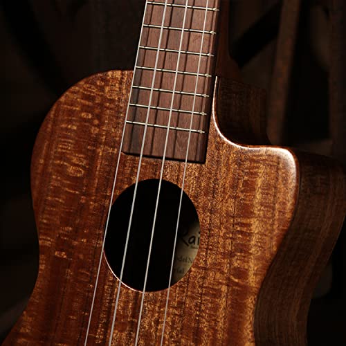 SheIRin Tout ce Dont Vous Avez Besoin pour ukulélé ténor, Facile à Apprendre pour Les Enfants, Instrument d’ukulélé en… - Les Beatles, Paul McCartney, John Lennon, RIngo Starr, George Harrison SheIRin Tout ce Dont Vous Avez Besoin pour ukulélé ténor, Facile à Apprendre pour Les Enfants, Instrument d'ukulélé en… – Image 3