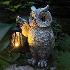 Owl1