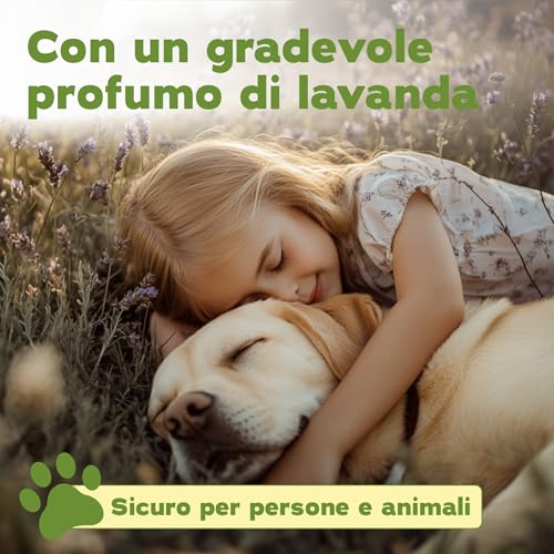 Bio-Chem - Detergente Enzimatico Concentrato 3L - Combatte Gli Odori Ostinati E Le Macchie - Azione Probiotica Naturale Per Tappeti, Tessuti E Superfici - 4