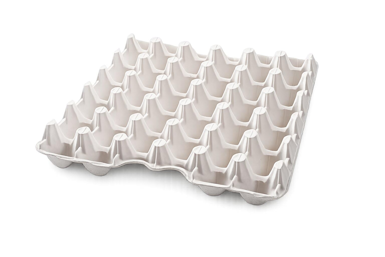 Nakshit Trading Paper Pulp Egg Tray Pack of 10 | 30 Slots | Biodegradable Material | Farm Fresh Egg Storage | Farm Fresh Egg Storage-image-15