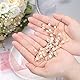 Brautschmuck, Etercycle Braut Kopfschmuck Hochzeit Haarspangen Kristall Haarnadeln Reben Blume Blatt Perle Haarschmuck für Braut - Gold