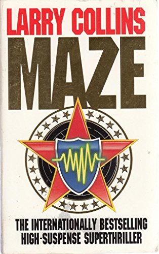 Maze view 2