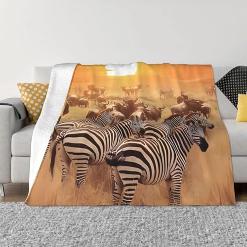DEHIWI Afrika Sonnenuntergang Zebra Flanell Fleece Decke 101,6 x 76,2 cm ultraweich warm gemütlich Überwurf Decke Ganzjahresdecken für Bett Sofa...