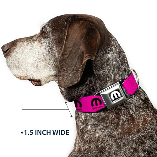 Collar de perro Buckle-Down con hebilla resistente y banda ancha de 3.8 cm para paseos seguros 8