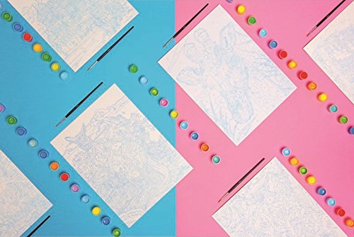 Reeves Dipingi con i Numeri - Animali 30X23 cm