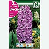 Rocalba