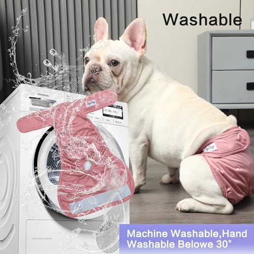 JoyDaog Waschbare, wiederverwendbare, hochwertige Hundewindeln für kleine Hunde, für Wärme, Inkontinenz, Welpenwindeln, XS