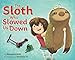 The Sloth Who Slowed Us Down: A Picture Book