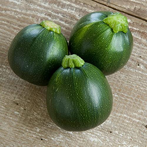 GARDENIFY INDIA CHAPPAN KADDU SEEDS (50 SEEDS/PACKET) (B093TJP6NB) Amazon Price History, Amazon Price Tracker