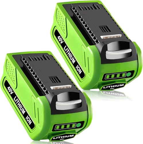 Greenworks 40V 6.0Ah Battery 29472, 2-Pack