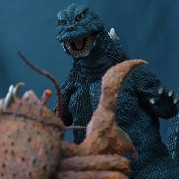 51bhSoy0lQL._AC_UF350,