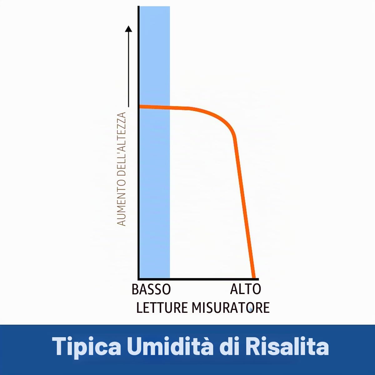 Dryzone Rilevatore di Umidità – Misuratore Digitale per Legno, Muri, Muratura e Materiali da Costruzione