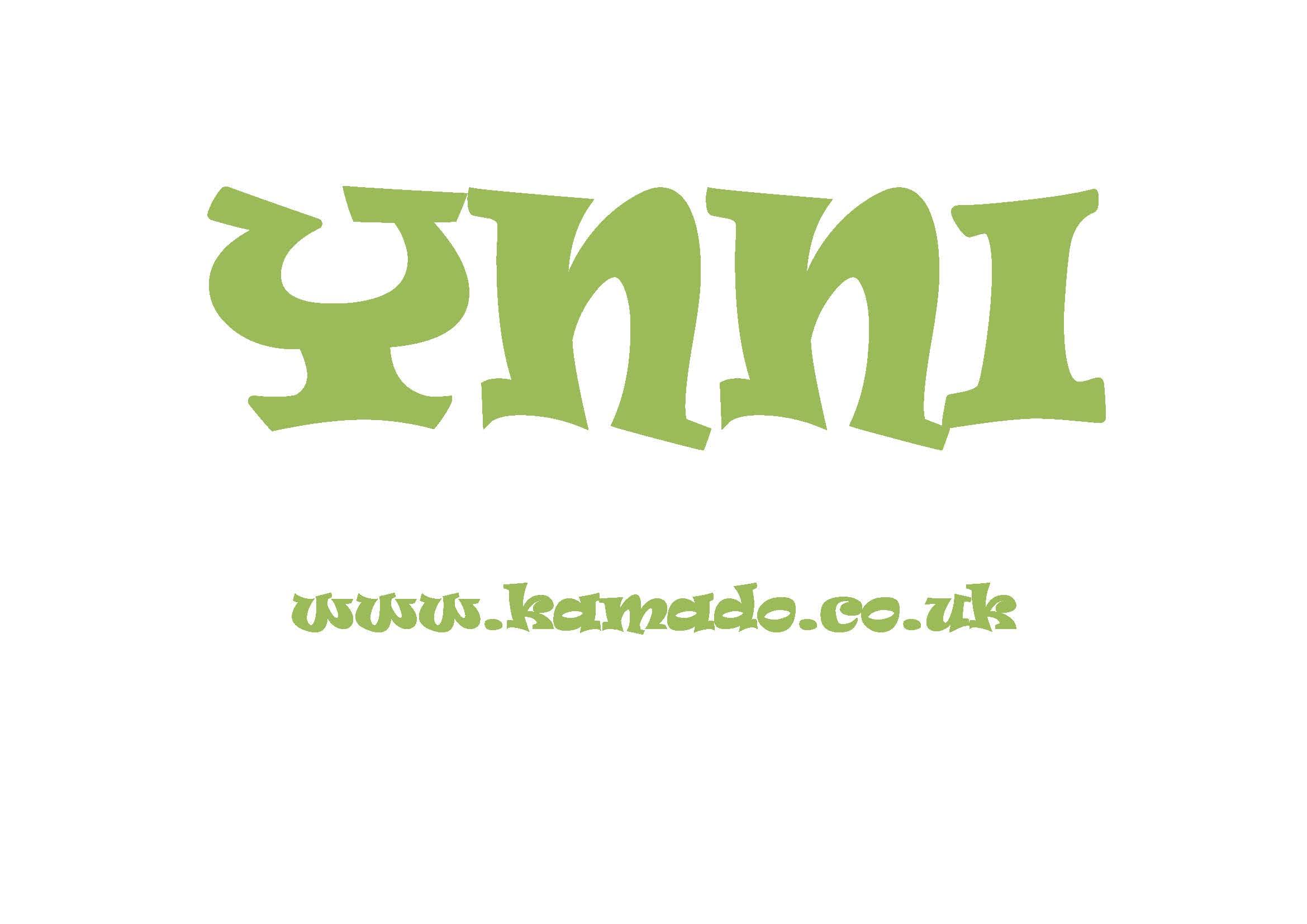 YNNI KAMADO TQKAB25 Panier à cendres pour grilles de 63,5 cm + Grille de séparation centrale amovible