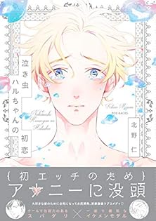 特典付 美しい彼 漫画版 1～4巻 全巻 初版 セット 北野仁 小冊子 ペーパー 凪良ゆう/北野仁 美しい彼1~4 既刊全巻セット - メルカリ