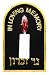 1 X Plug In Yahrzeit Light-No bulb needed! Memorialize your Loved one Safely and with Ease!