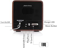 Vista 4 de LOEVY Retro Classic Portable FM Radio Speaker Support TF Card Player Radios