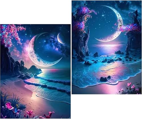 Amyaker ダイヤモンドアート キット 丸いビーズ 全面 2個セット ダイアモンドビーズ絵画キット DIY 手作り絵画 モザイクアート 5D モザイクアート ダイヤモンド塗装 全面貼り付けタイプ 30x40cm 花 月