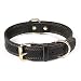 DAIHAQIKO Leather Dog Collar Genuine Leather Alloy Hardware Double D-Ring Dual Stitching 3 Best for Medium Large and Extra Large Dogs (S, Black)