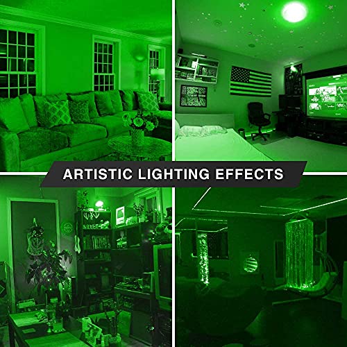 4 Pack Bluex Led Par20 Flood Green Light Bulb - 8W (65Watt Equivalent) - Dimmable - E26 Base Green Led Lights, Party Decoration, Porch, Home Lighting, Holiday Lighting, Green Flood Light Bulb #TOP4
