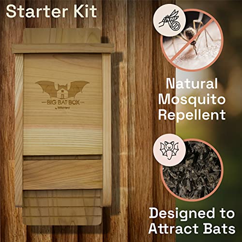 The Complete Bat House For Outdoors - Clean Your Backyard From Mosquitoes - Bat Box Without Paint Inside - One Chamber Bat Hose - Easy To Hang - Wildyard #TOP1
