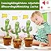 Imagen de seOSTO Cactus Bailarin