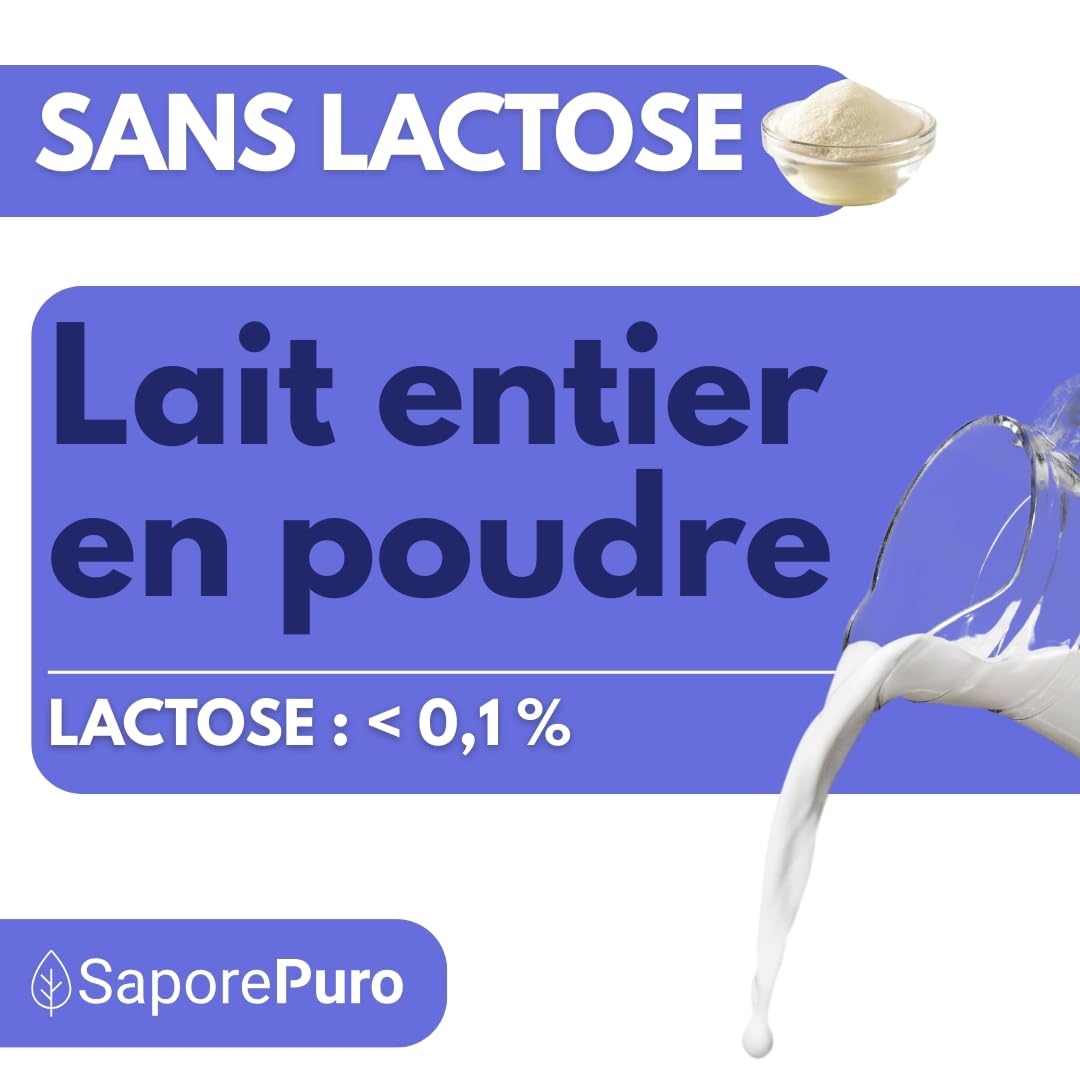 SaporePuro Lait Entier Déshydraté Sans Lactose 1 kg | Haute Solubilité | Idéal pour Pâtisseries, Pain et Glace Artisanale | Usage Professionnel et Industriel | Sans Lactose | Sans Gluten
