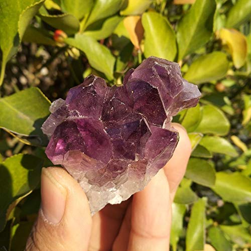 Espécimen de racimo de Amatista de Cuarzo de Cristal de geoda de Amatista Natural de Uruguay Inicio Colecciones