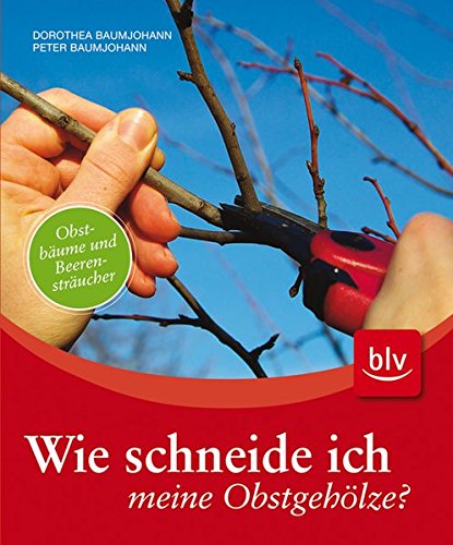 Wie schneide ich meine Obstgehölze? Obstbäume und Beerensträucher
