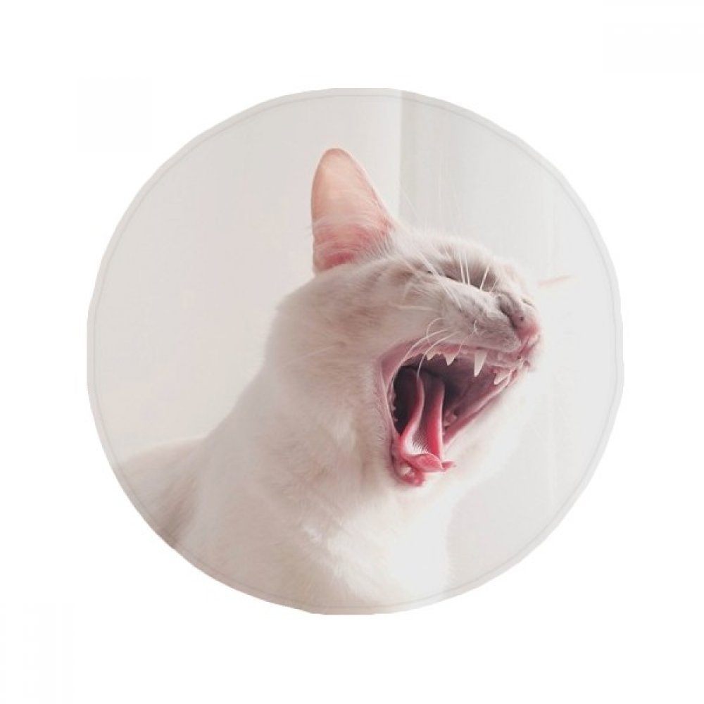 Tapis de sol chat blanc rond multicolore 50cm pour décoration maison moderne