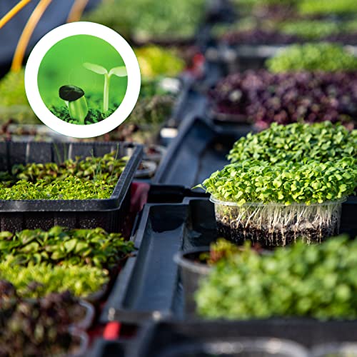 Luter 120pcs Plant Grow Stickers Compatible with AeroGarden Seed Pod - Image 4