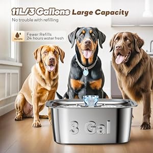   Dog-Water-Fountain-for-Large-Dogs-11L-3Gal-Stainless-Steel-Pet-Fountains-for-Large-Multiple-Pets-Ultra-Quiet-Automatic-Water-Bowl-Dispenser-Large-Capacity-Dogs-Cats-Drinking-Fountain-with-2-Filters