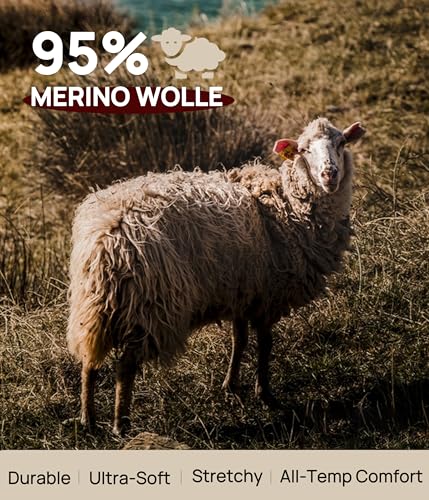 Merino Wool Underwear Women 3 Pack, Breathable Wooly Panties, Bikini Ladies Briefs Underwear3