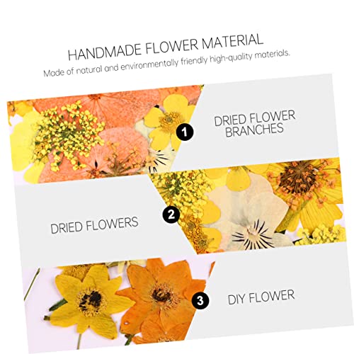 Kit de flores prensadas secas realistas 40 piezas miniatura 3
