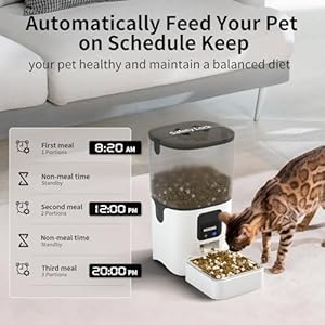 Automatic Cat Feeders: Automatic Cat Food Dispenser with APP Control, Pet Feeder with Freshness Preservation, Timed Cat Feeders for Dry Food, 1-30 Meals Per Day for Cats (6L/25Cup)